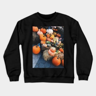 Pumpkins and Gourds Union Square NYC Crewneck Sweatshirt